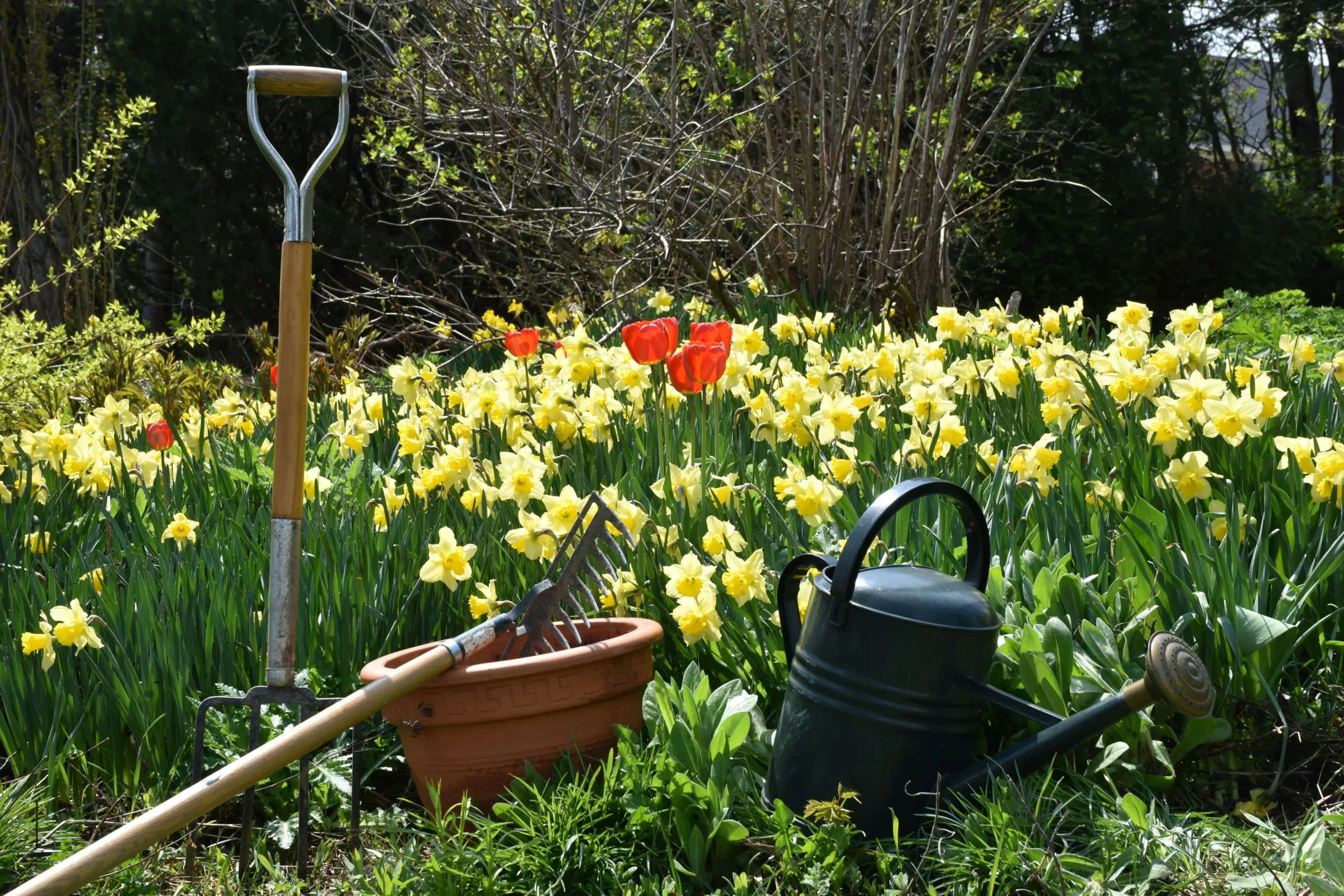 Stress-free Gardening: Decluttering and Organizing Gardening Supplies
